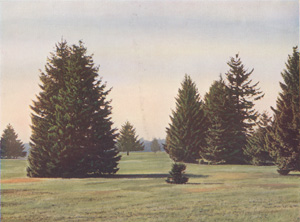 Prairie Park Scenery, near Tacoma